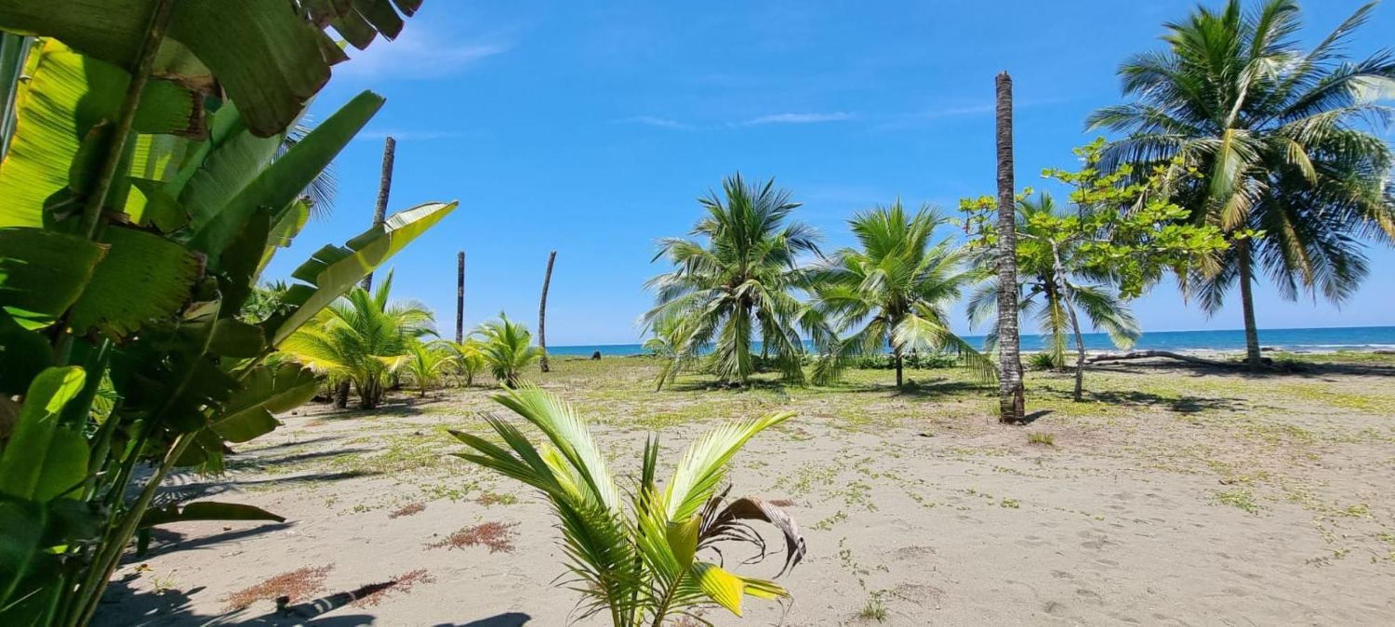 Hotel Playa Westfalia ปูแอร์โตลีมอน ภายนอก รูปภาพ