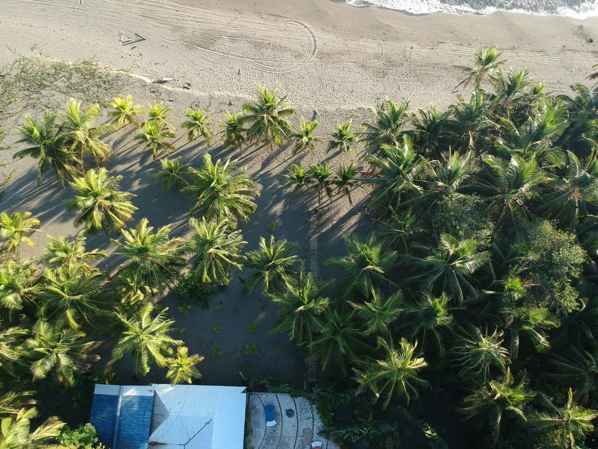 Hotel Playa Westfalia ปูแอร์โตลีมอน ภายนอก รูปภาพ